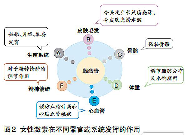 多吃什么可以预防更年期,多吃什么对女性好