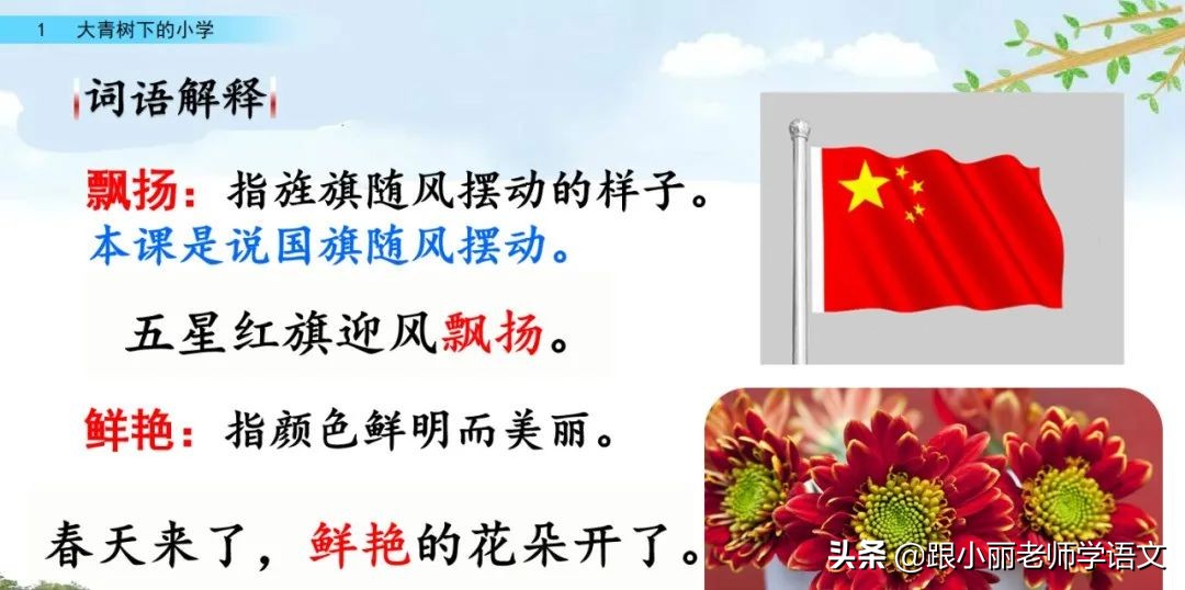 大青树下的小学重要背诵内容,大青树下的小学重点知识点