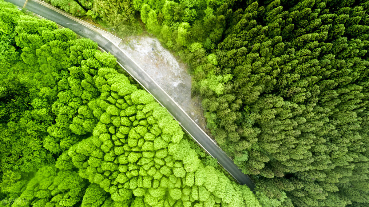 重庆适合亲子游2天一晚避暑,重庆周边的四川避暑胜地有哪些
