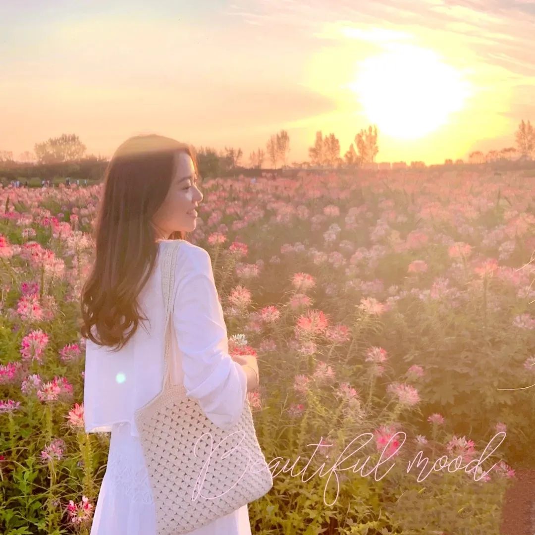 杜邑国家遗址公园,杜邑遗址公园和杜陵遗址公园