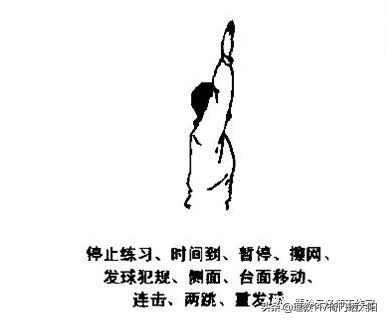 裁判讲解乒乓球比赛,乒乓球的裁判规则和手势