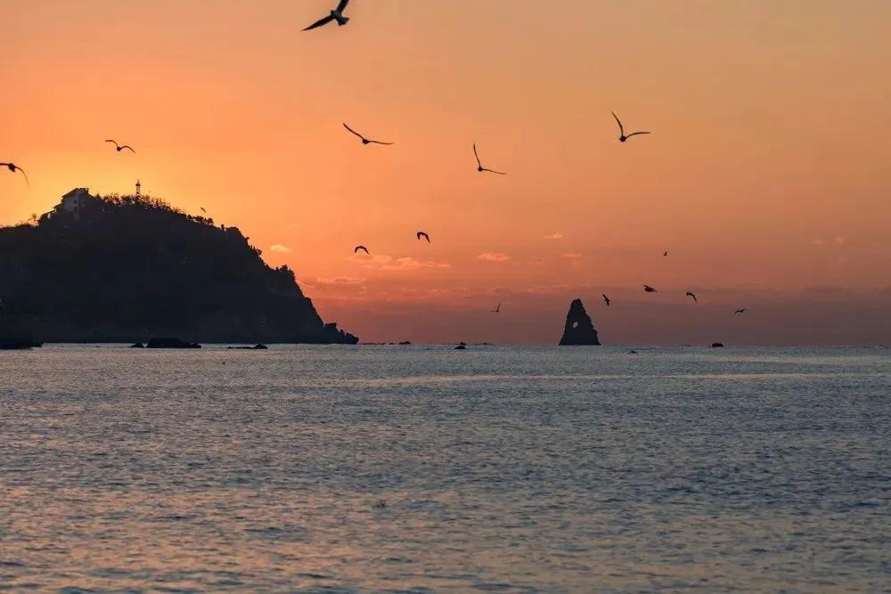 均温20℃的海滨老城，紫色泡桐花美得像国外，现在去性价比超高