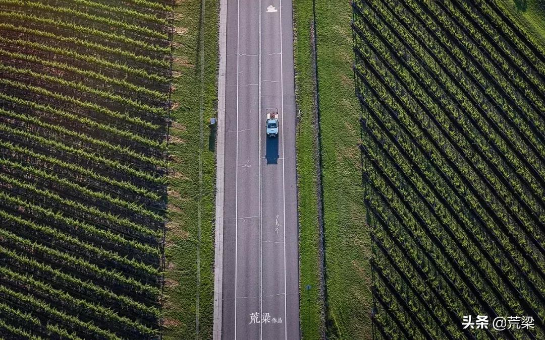 澳洲酒庄旅游,澳洲旅游攻略红酒
