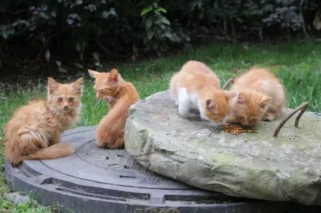 西南民大值得去读吗,西南民大是什么级别