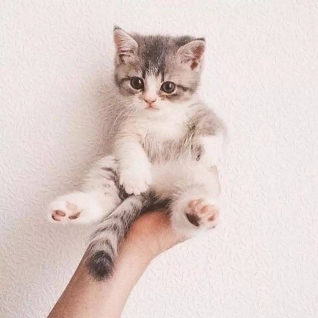 如何拯救下巴,轻松拯救下颚