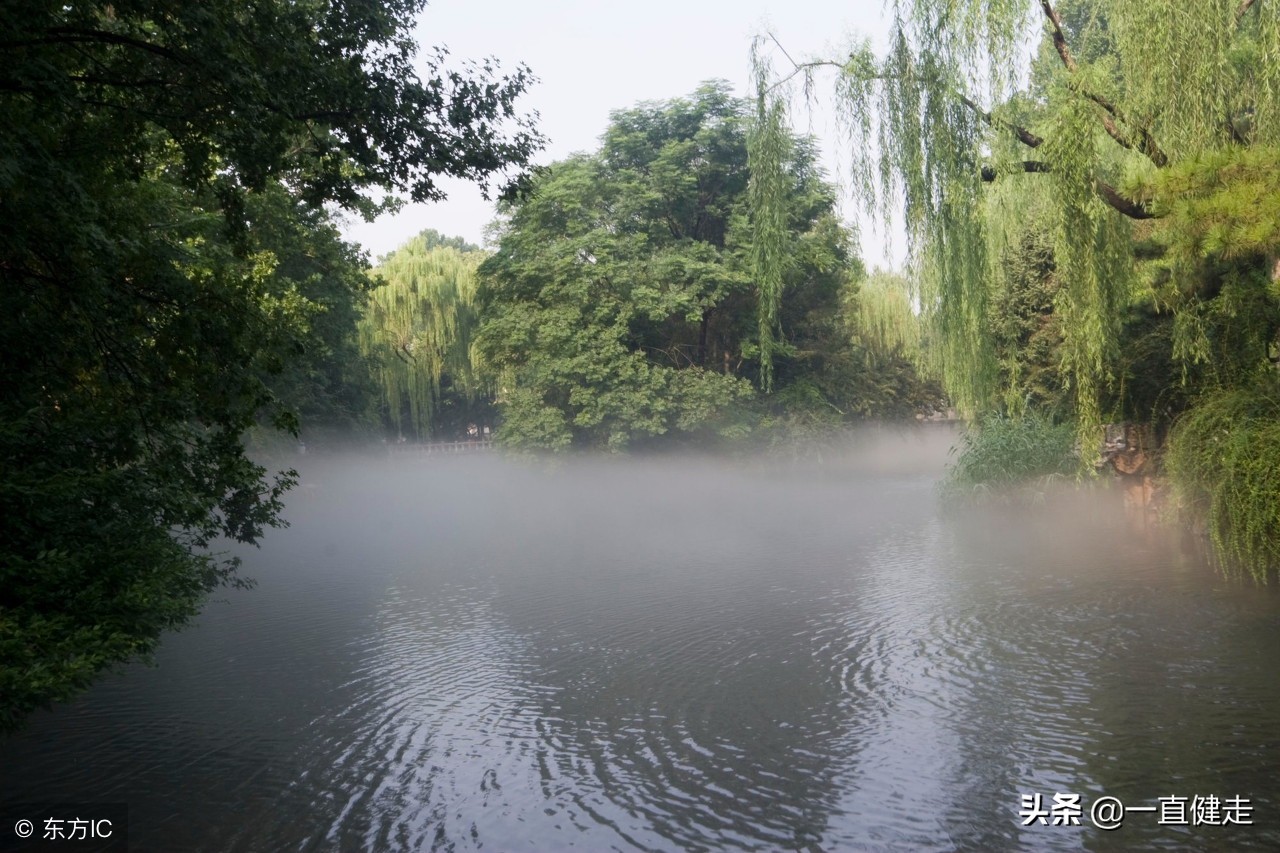 一目了然——《诗经》（256——265）