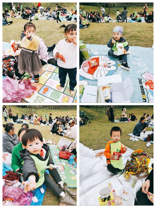 五一幼儿园大型亲子活动,青苹果幼儿园开展亲子活动