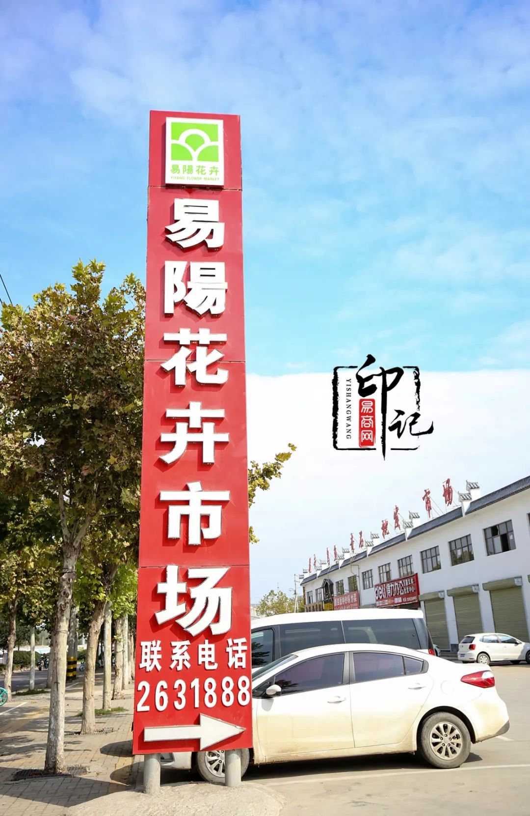 商丘道北花鸟批发市场,商丘花鸟宠物市场
