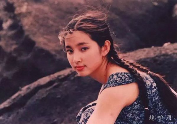 四旦双冰系列全集,四旦双冰后继无人