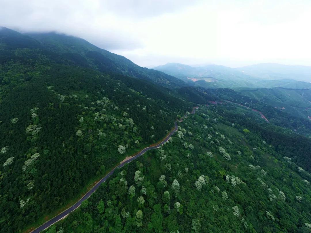 平天山航拍,卫星航拍平天山