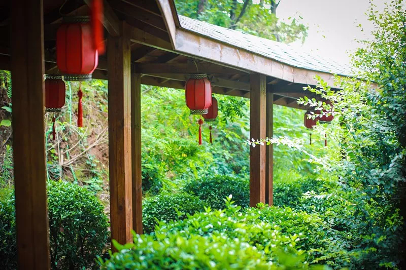 郑州周边这9个特色温泉，够“约泡”一整个冬天，你想去哪个？