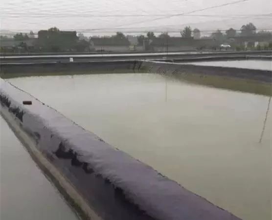 夏季铁锈水怎么来的,夏季容易生锈的原因