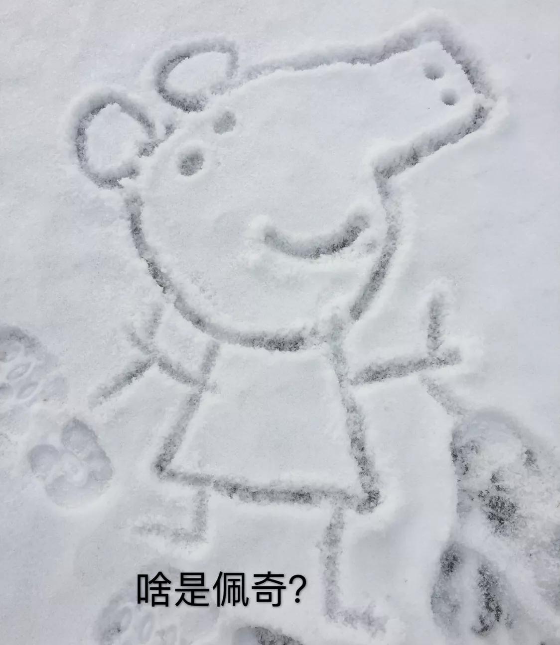 新到13年东风雪铁龙c2,犹豫了很久才买的玩具