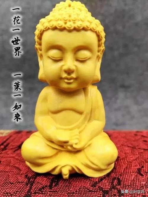 如何分辨业主群的真假业主,怎么区分业委会的好坏