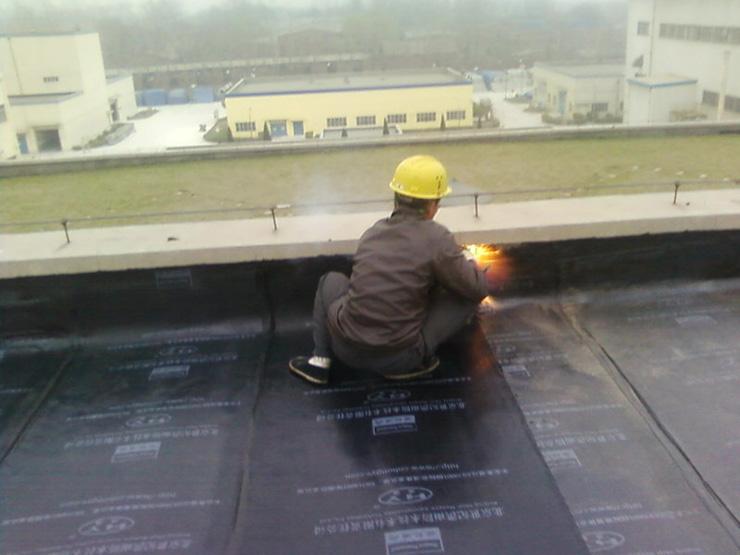 屋顶防水材料的分类,房顶防水最新防水材料哪种好