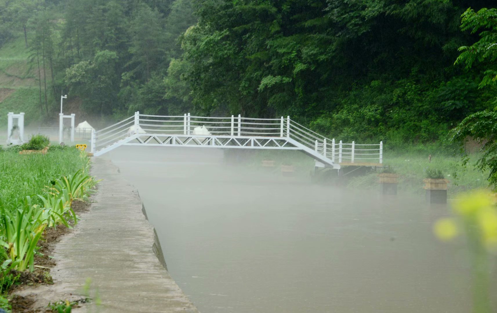 六月回忆儿时校园,六月回忆童年