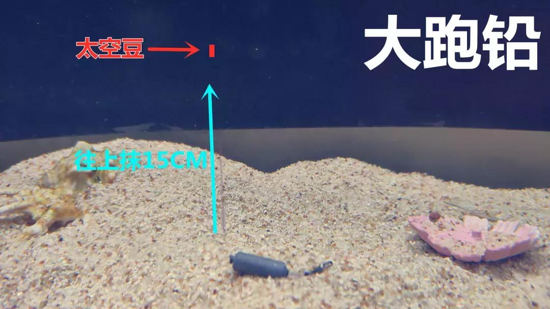 野钓调漂基础知识大全,野钓调漂最佳方法解读