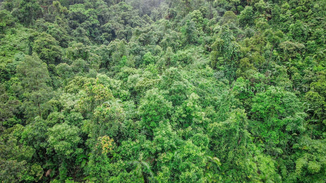 享受鼎湖山绝美风景,换个角度的风景