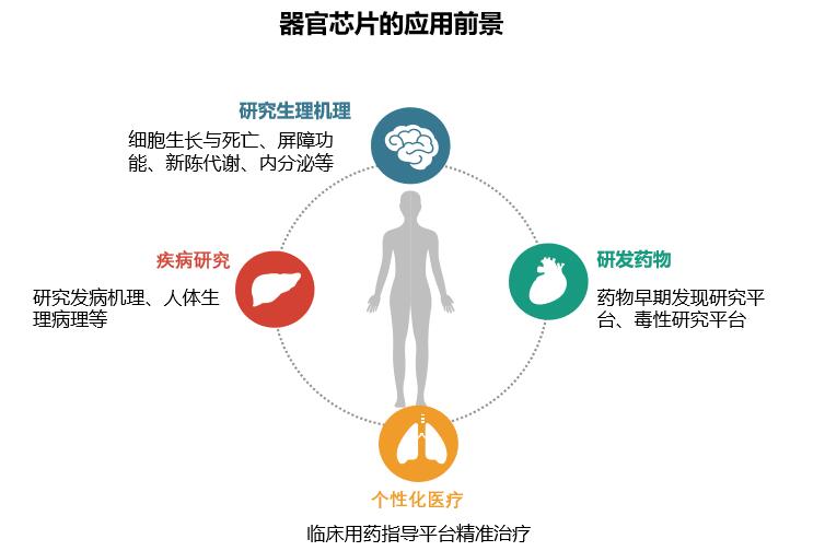 前沿生物医疗创新趋势,中国生物芯片关键技术突破