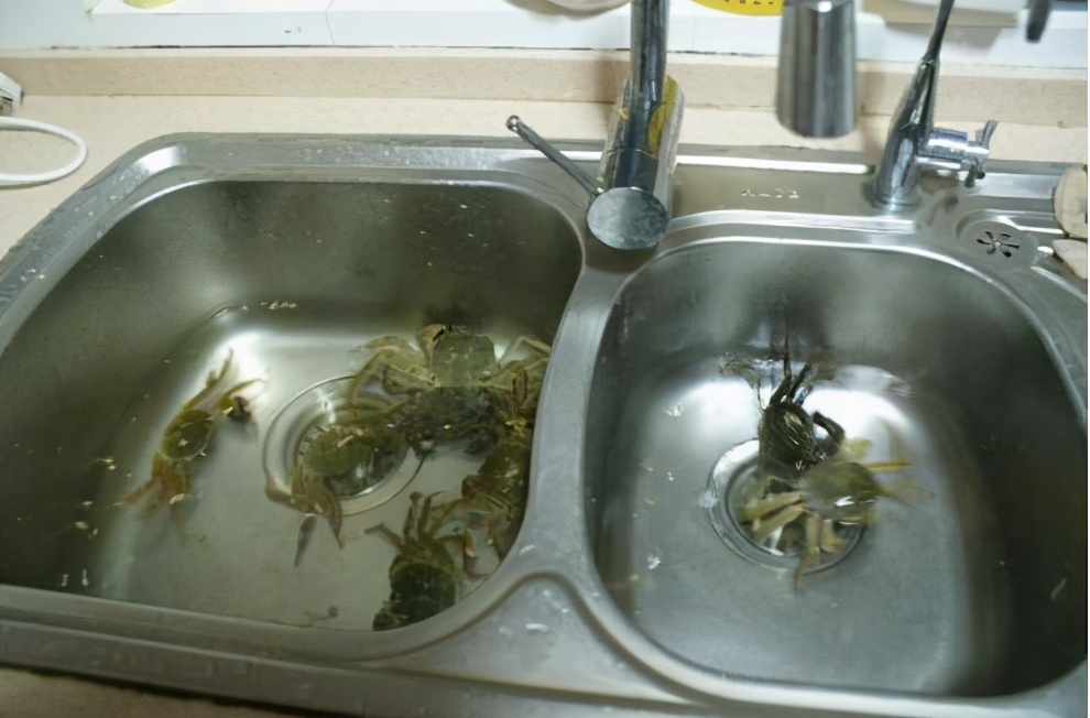 买回来的螃蟹吃不完怎么存放,螃蟹买多了吃不完怎么保存