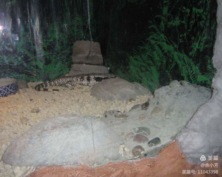 上海昆虫馆,上海昆虫博物馆研学