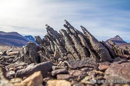 天问一号成功着陆火星的英文,天问一号成功着陆火星素材