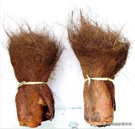 床垫哪种配置适合中老年人,要什么样的床垫才是好床垫