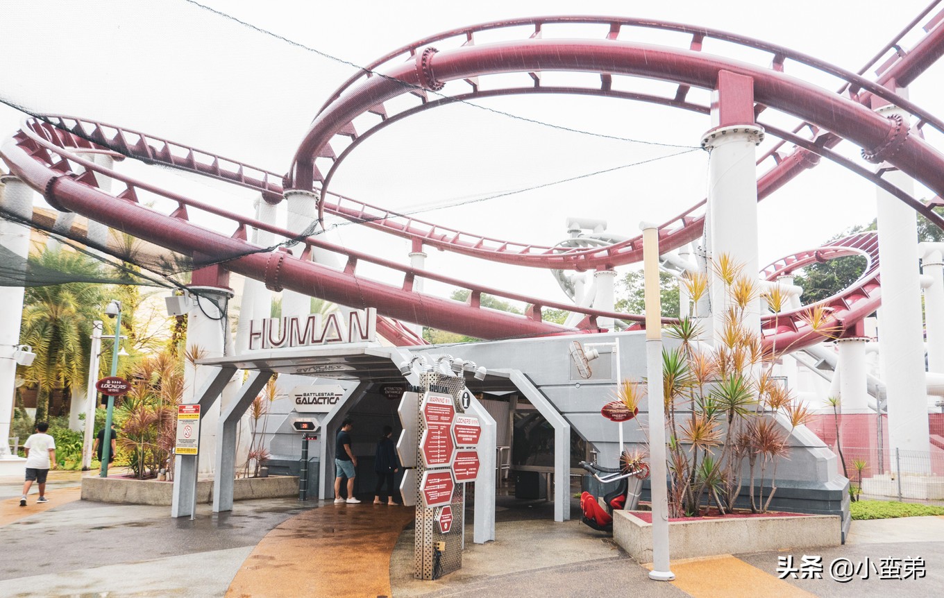 5年之许,小白逆袭重返新加坡