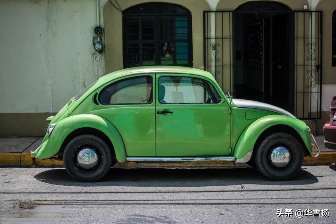 在这里你可以看到绚烂多彩的甲壳虫,因为他们是这里的精灵
