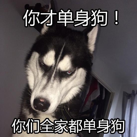 李现和杨紫的cp超话,比杨紫小的明星cp