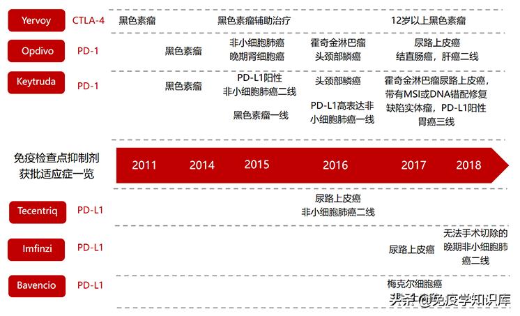 免疫细胞疗法疑问,免疫细胞治疗的真实感受