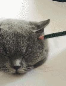 如何用一支炭笔表现素描的结构和质感?一篇告诉你