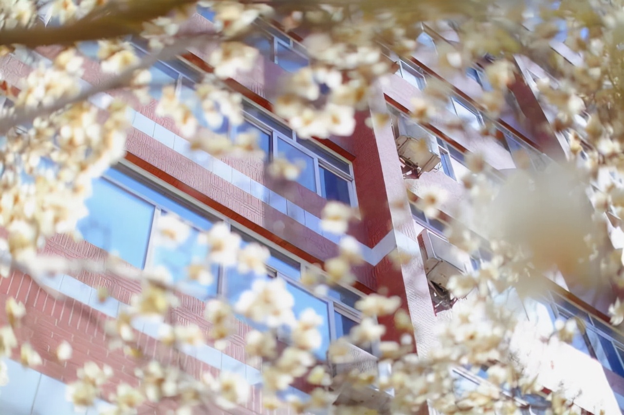 北京第二外国语学院最新排名,北京市属高校北京第二外国语学院