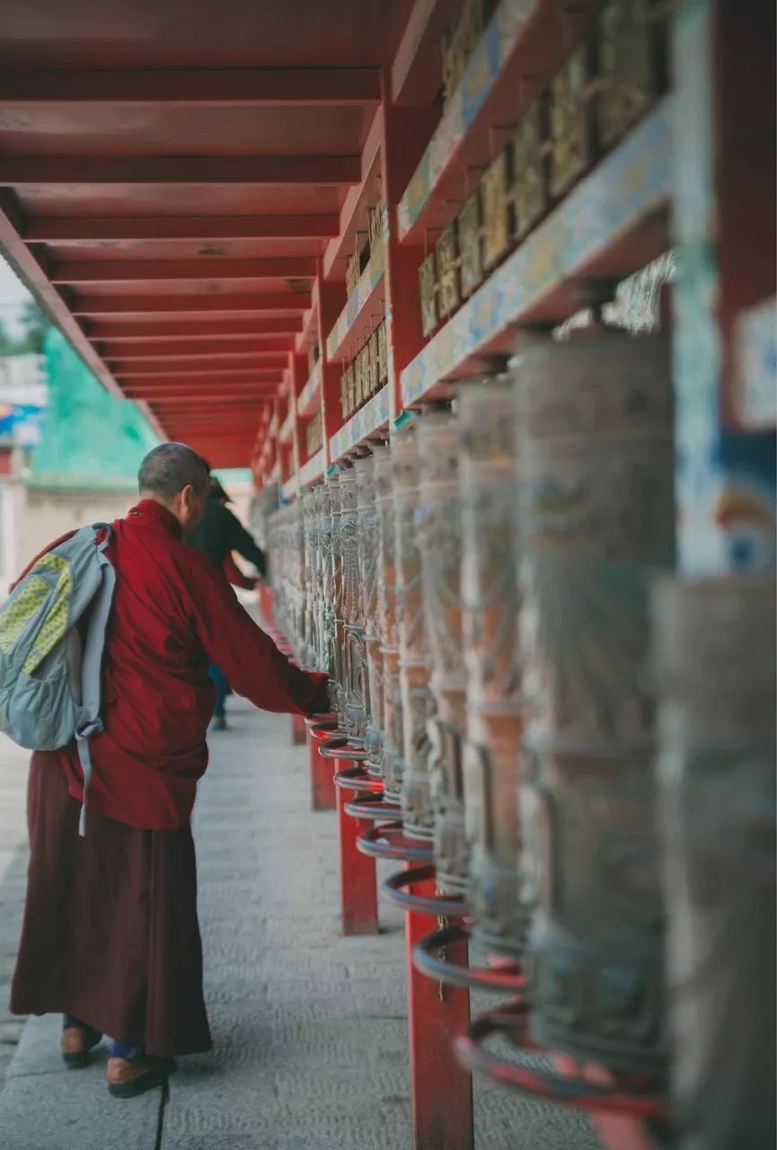 七月的青海湖美翻了,带你了解七月的青海