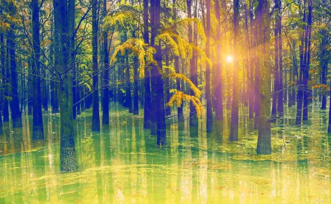 想去一个星空最美的地方露营,最美星空露营地