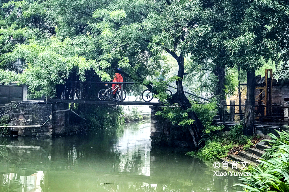 顺德逢简水乡，那一片小桥流水人家的风光，是古桥古屋古木的桃源