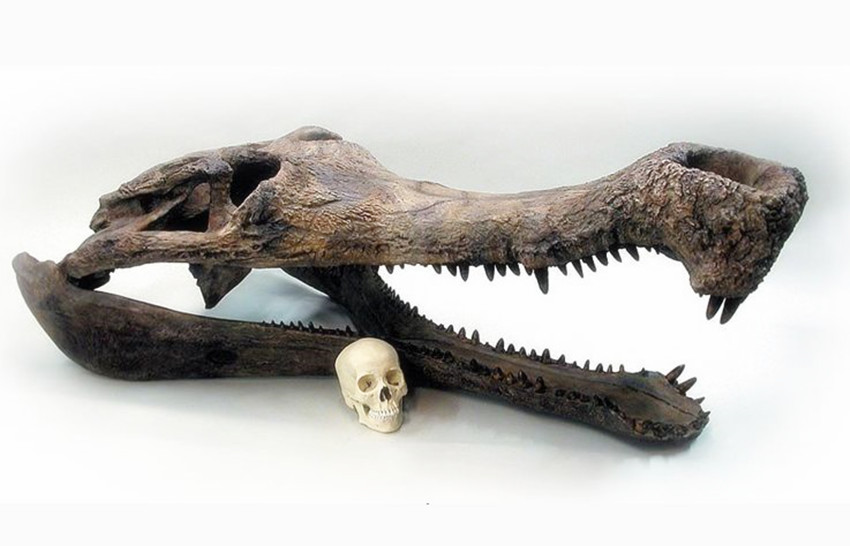 恐龙是不是远古时代最大的生物,穿越到恐龙时代收恐龙当小弟