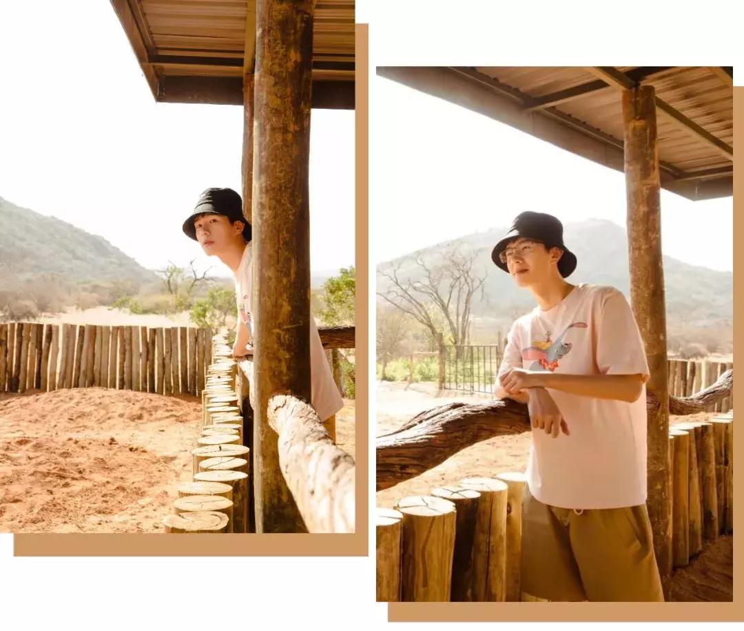 杨幂同款重磅t恤,杨幂同款小飞象短袖