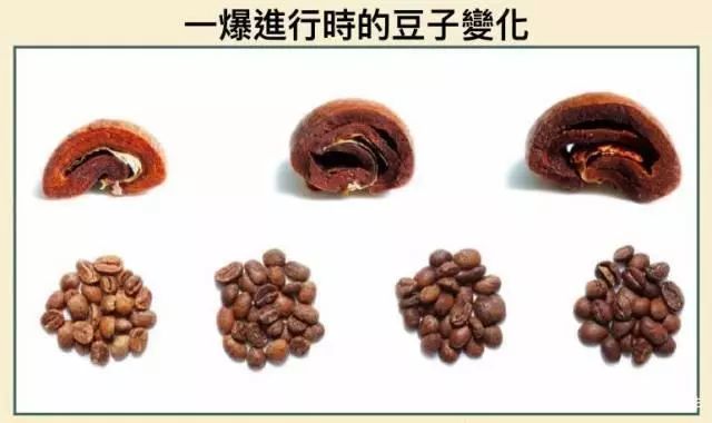 咖啡一爆二爆是什么意思,咖啡二爆是什么意思