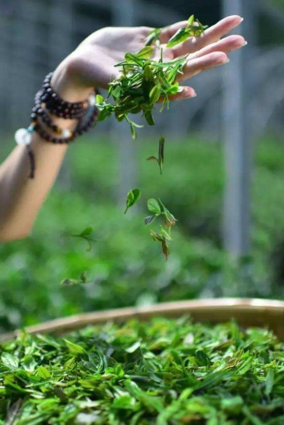 有关谷雨的诗词名句,谷雨诗词汇总