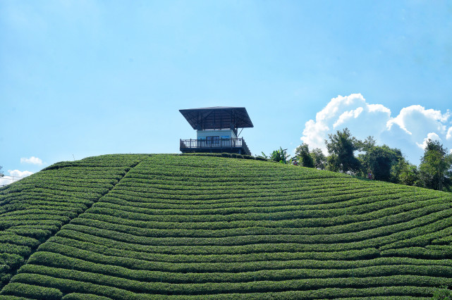 贺州旅游必去十大景点排名,贺州旅游十大最佳景点推荐