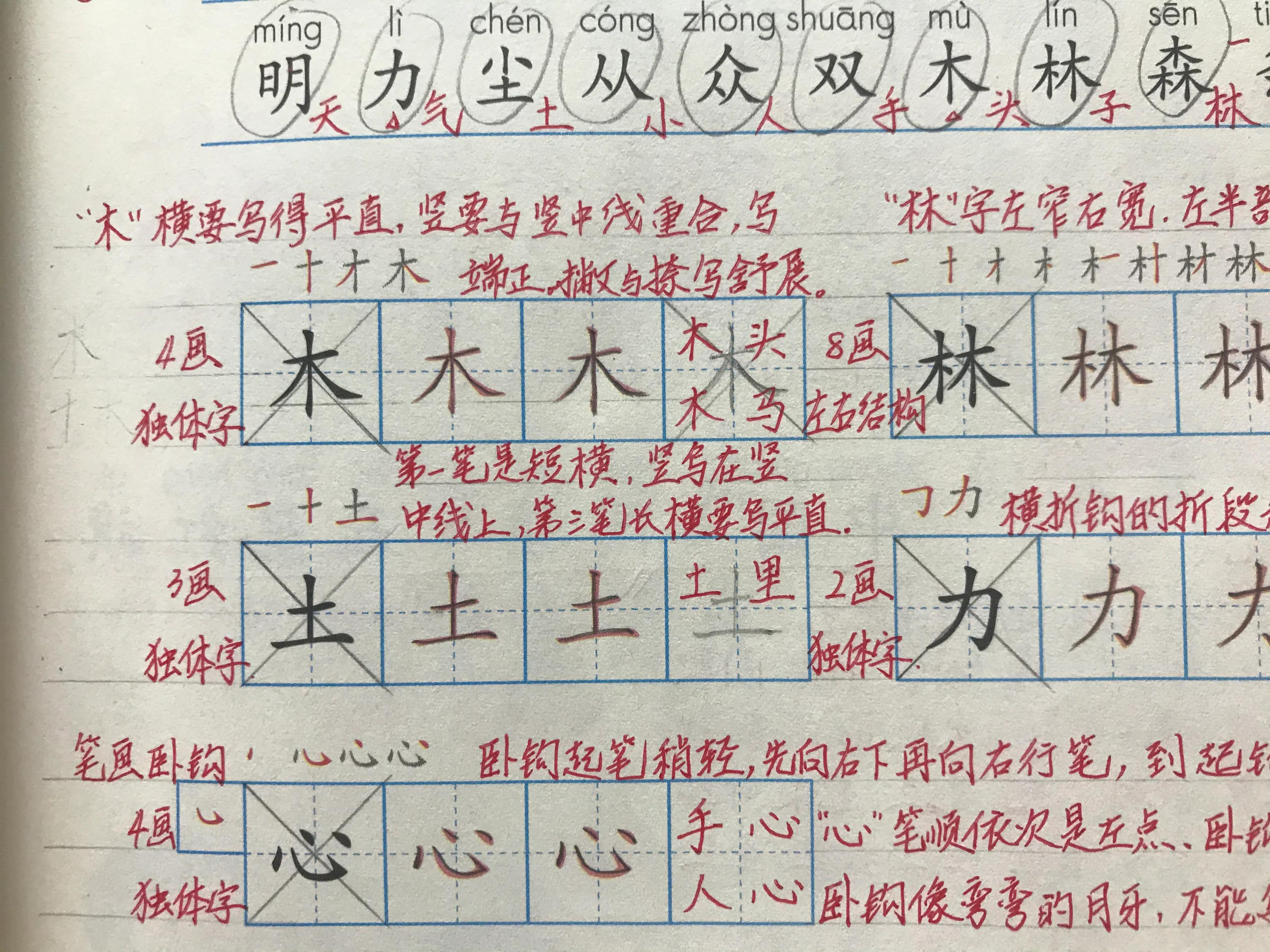 写字教学经验交流,写字课教学技巧和注意事项
