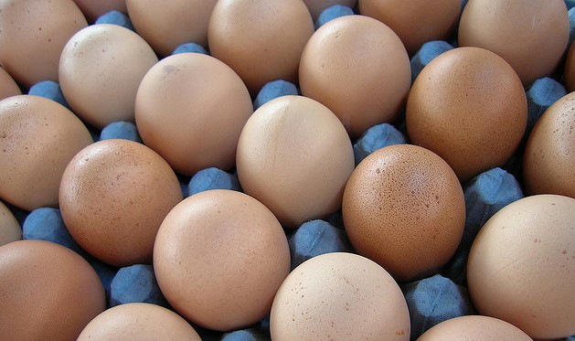 非吃雞蛋不可?打破雞蛋的神話(文:盧麗愛醫生)