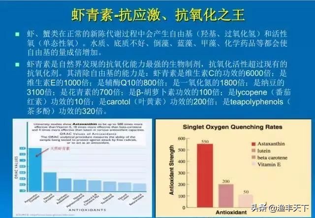 vc抗应激对水产养殖的用途,水产养殖vc抗应激的作用