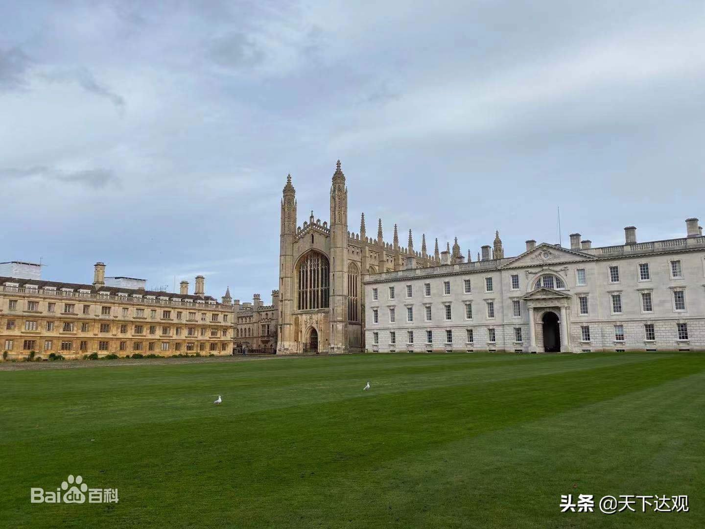剑桥大学最强的学院,剑桥大学是世界顶尖大学吗