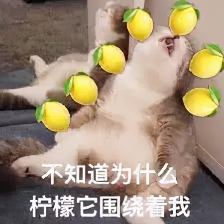 costco店长薪资,costco员工工资待遇