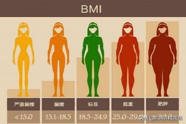 怎么降bmi体重指数,体重指数bmi偏高25怎么减下来