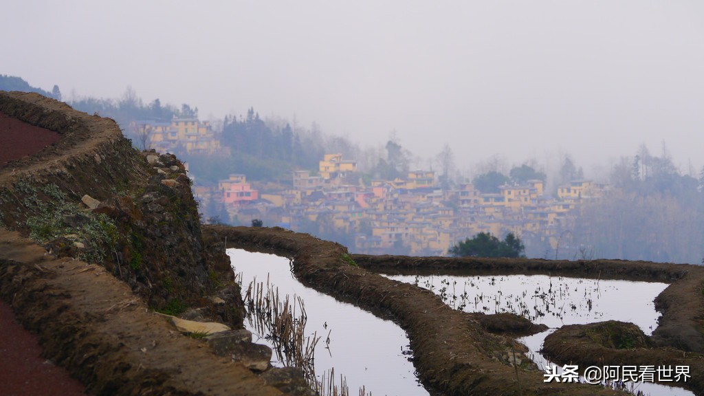 云南普者黑元阳坝美6天旅游攻略,云南建水普者黑旅游路线