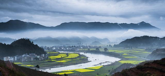 90后放弃城市打工回农村种果园,90后放弃百万收入