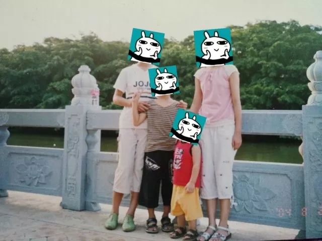 小鸟天堂真实现状,小鸟天堂后续怎样了